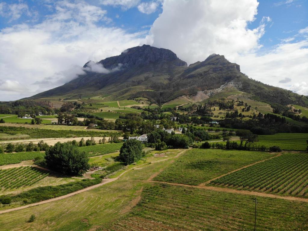 Le Pommier Country Lodge photo 3