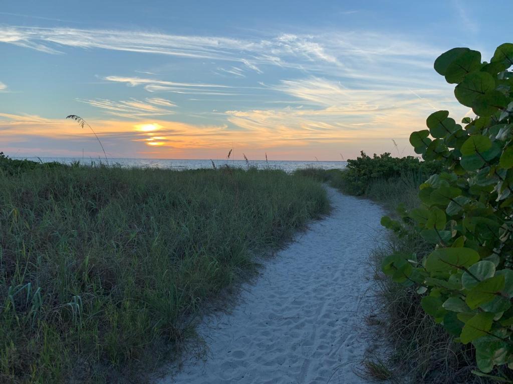 Twin Palms at Siesta photo 3