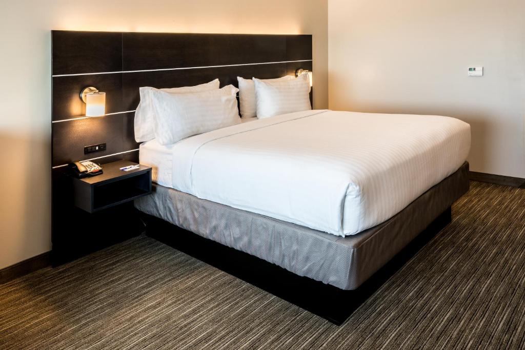Holiday Inn Express - North Augusta South Carolina, an IHG Hotel photo 3