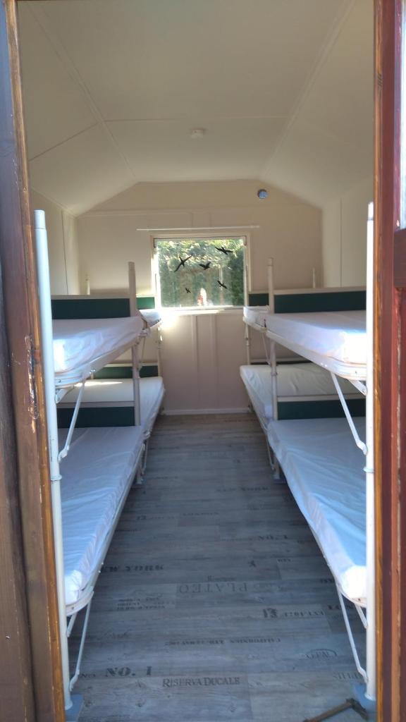 Treene Camp Horn photo 1