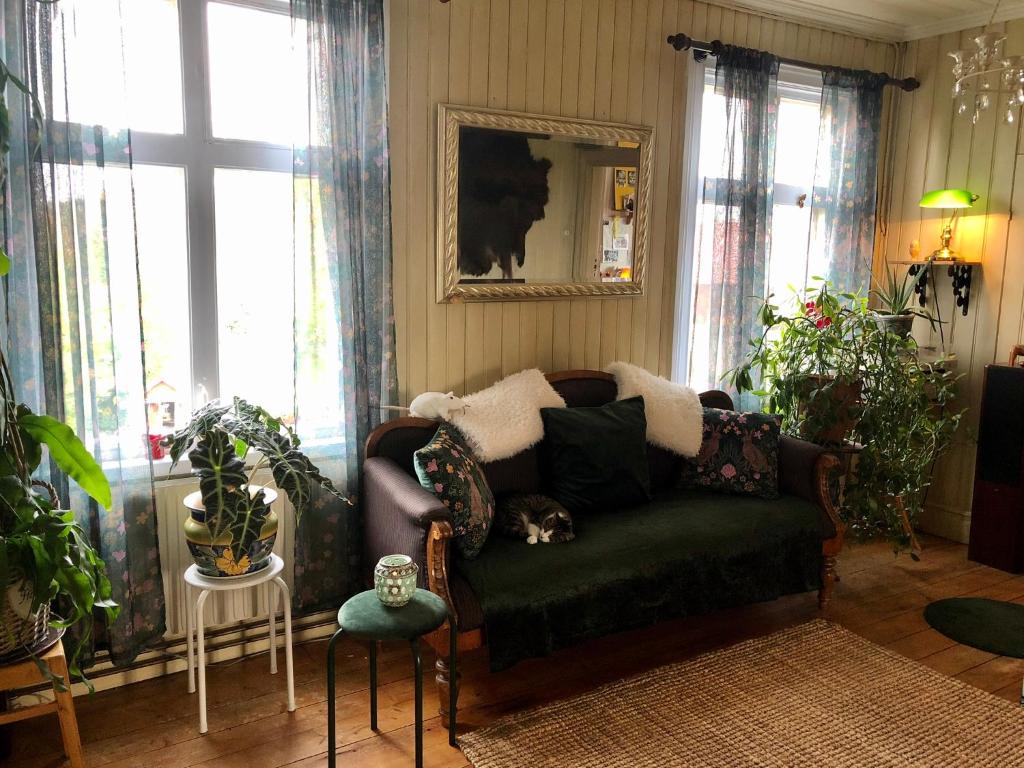 Captivating 1-Bed Studio photo 2