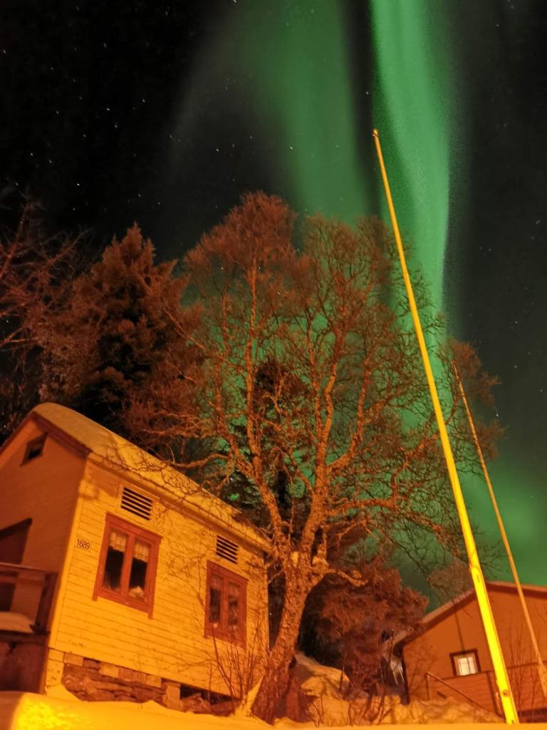 Senja Skaland photo 4