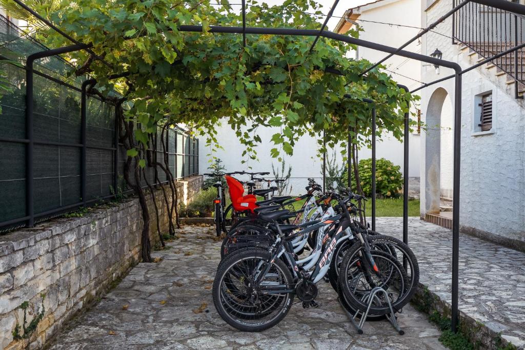 Charming Funtana apartments + Free Bikes photo 1