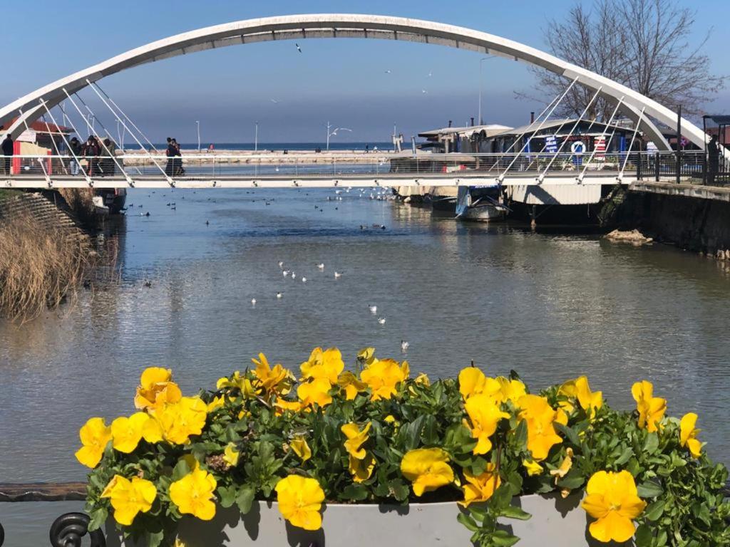 Yalova_Merkez photo 4