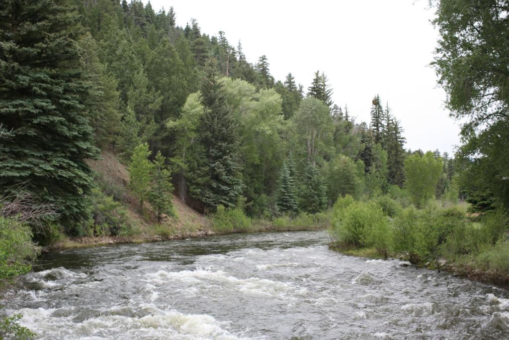 Otter's Place photo 3