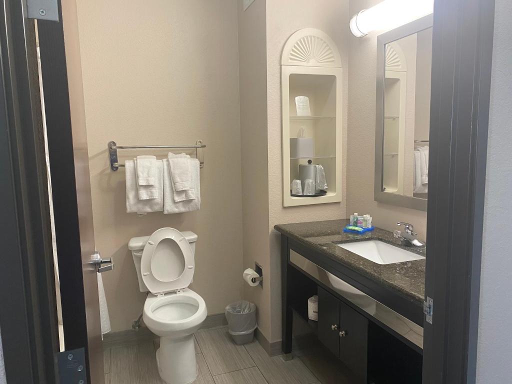 Holiday Inn Express Hotel and Suites Fort Stockton, an IHG Hotel photo 1