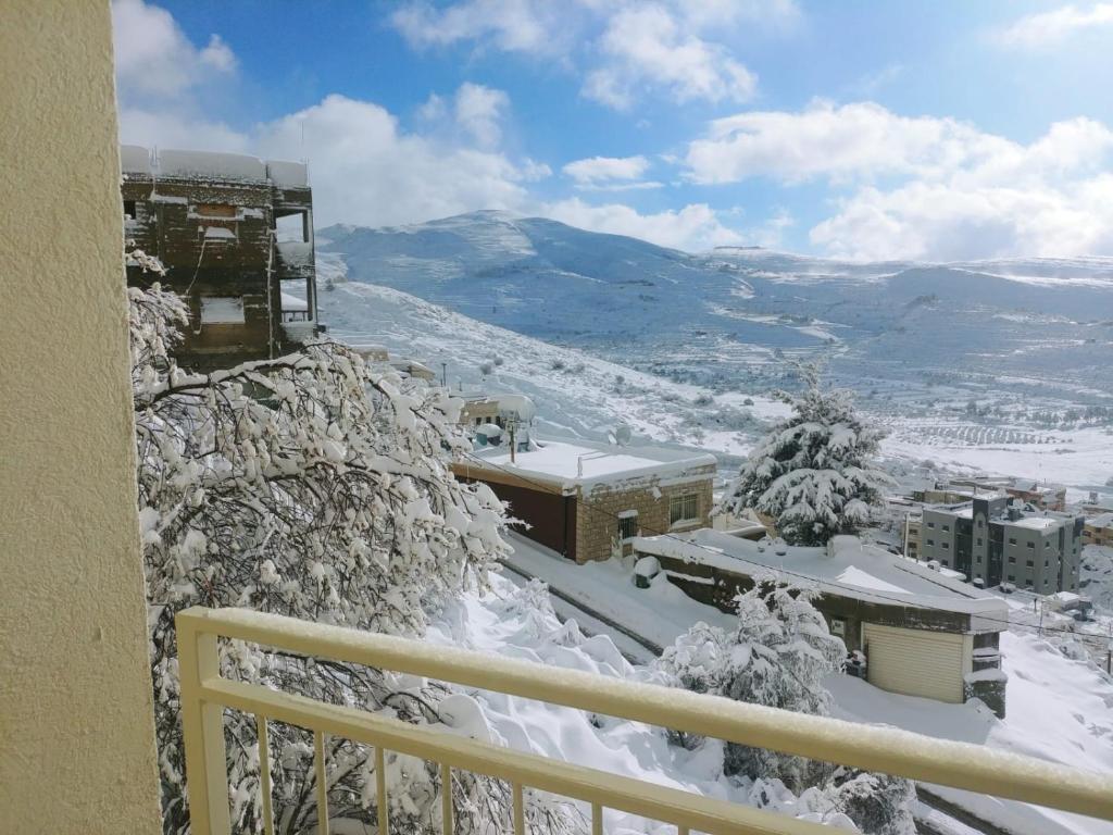 Jasmin Suites photo 2