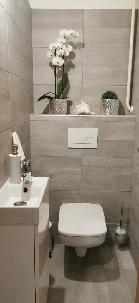 Hanna Apartman photo 4
