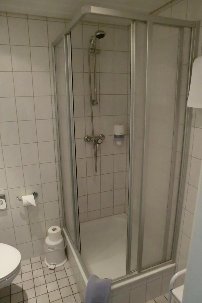 Двухместный (Стандартный двухместный номер с 1 кроватью и душем), Hotel Eigen