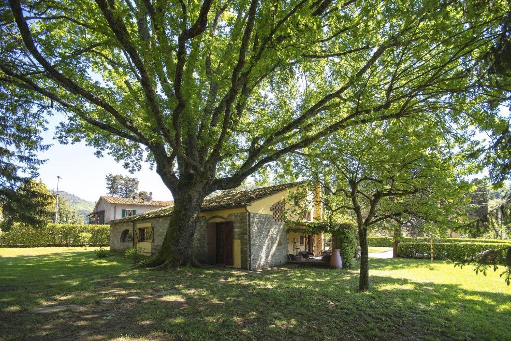 Casa la Quercia photo 1