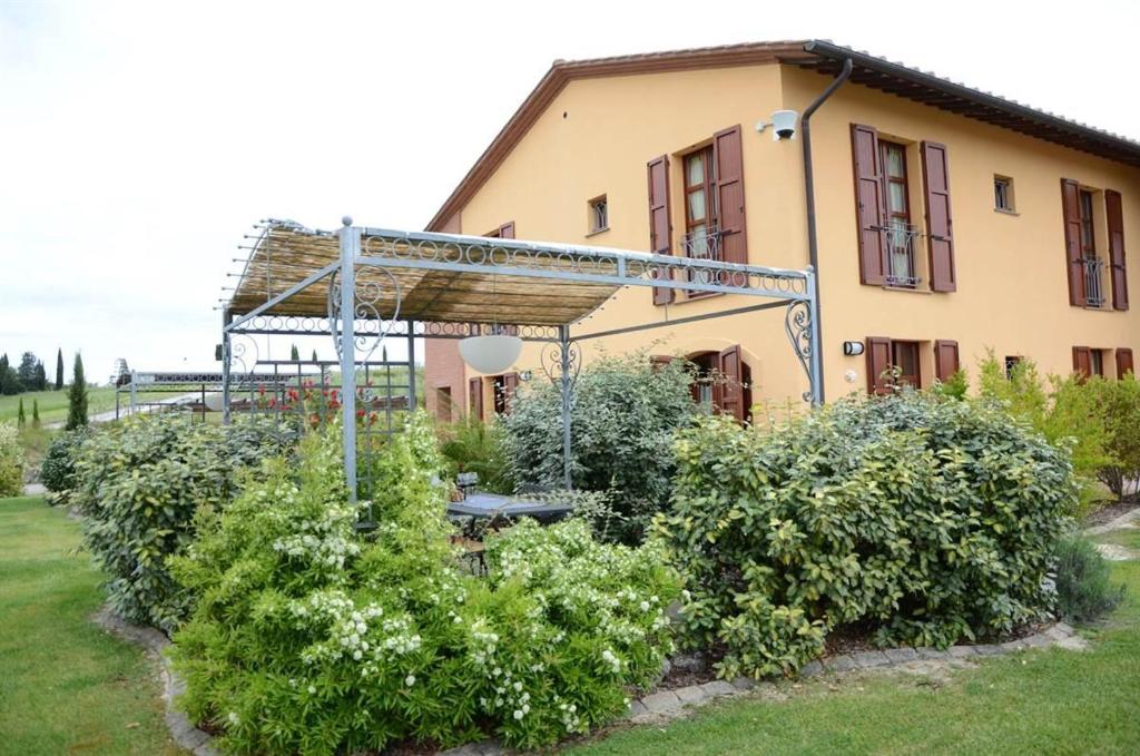 Girasoli photo 1