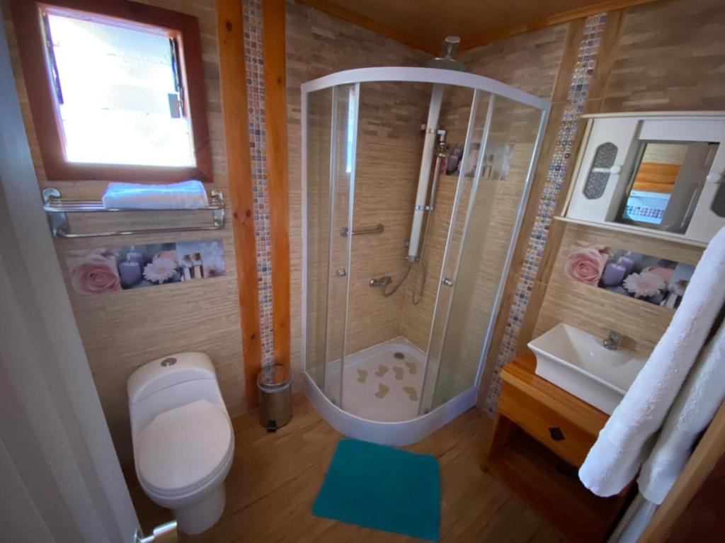 Cabañas y Hostel Isla Magica photo 3