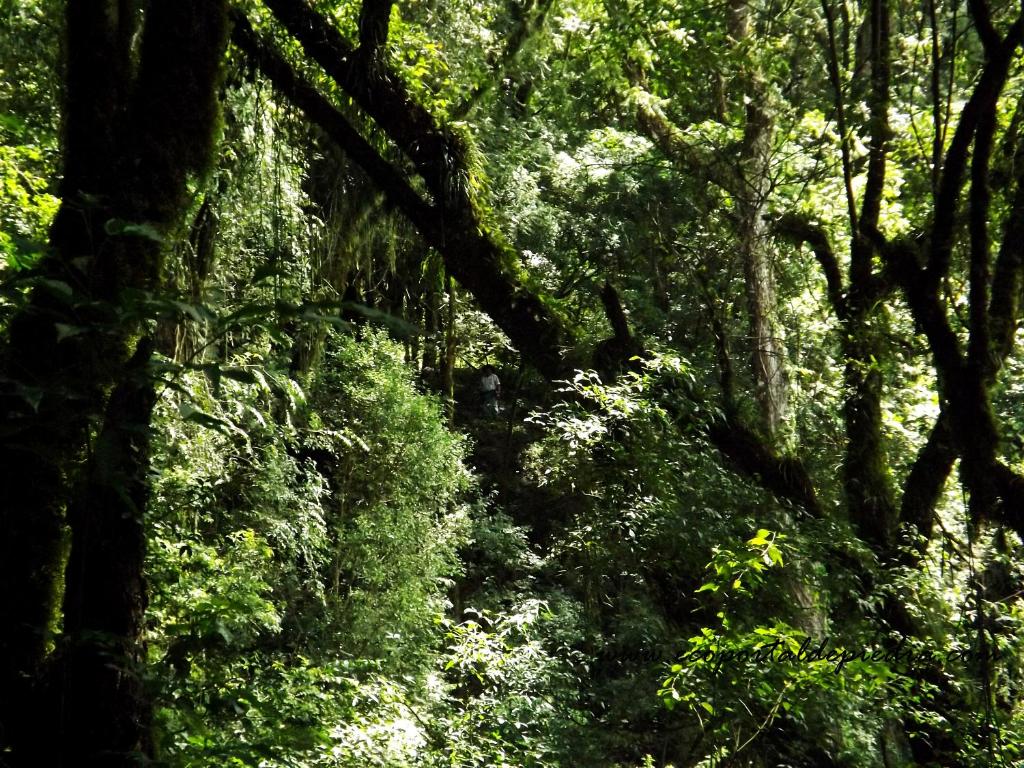 Portal de Piedra photo 4