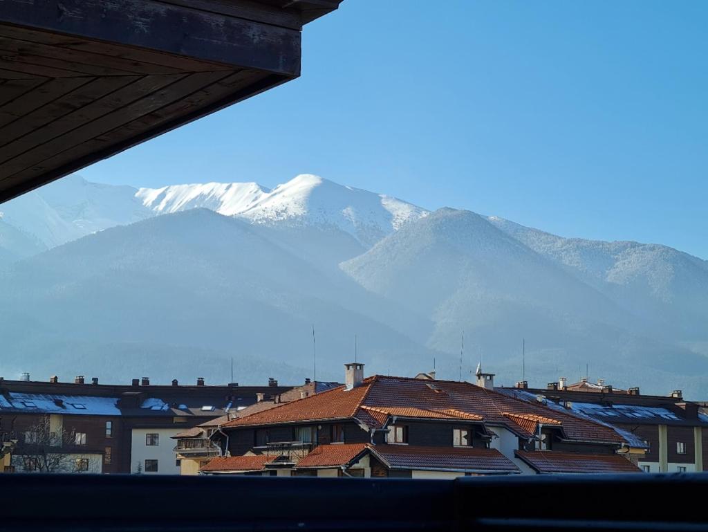 Апартаменты (Лофт), Apart Hotel Orbilux
