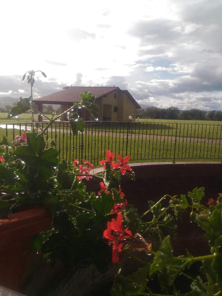 Agriturismo Oasi del Pianettino photo 2