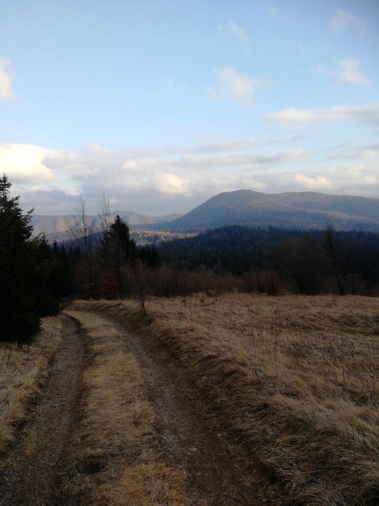 Apartmaji Bizjak photo 1