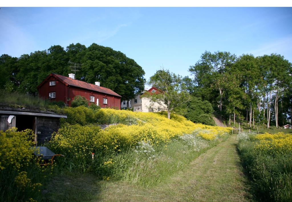 Biskops Arnö photo 4
