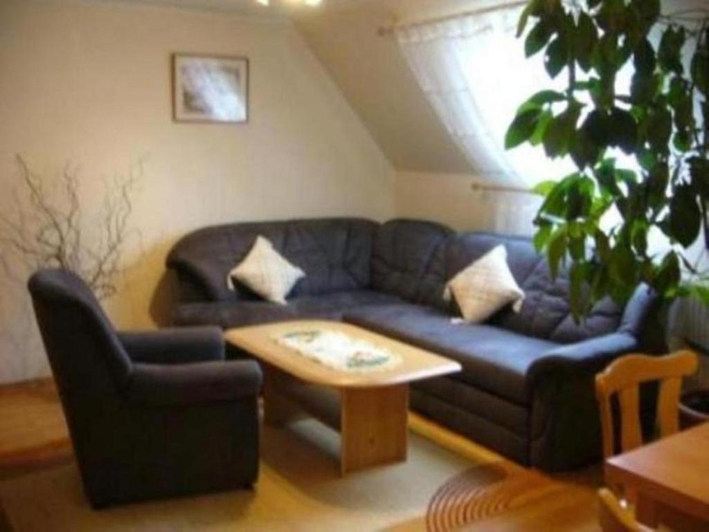 Haus Feldmühle photo 4
