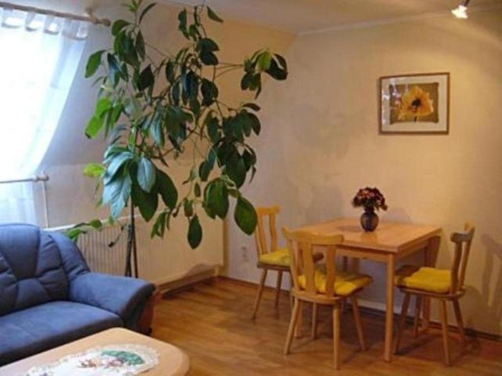 Haus Feldmühle photo 3