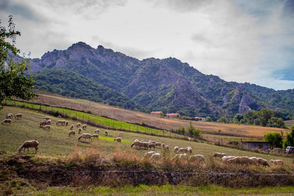 Spazio Natura photo 4