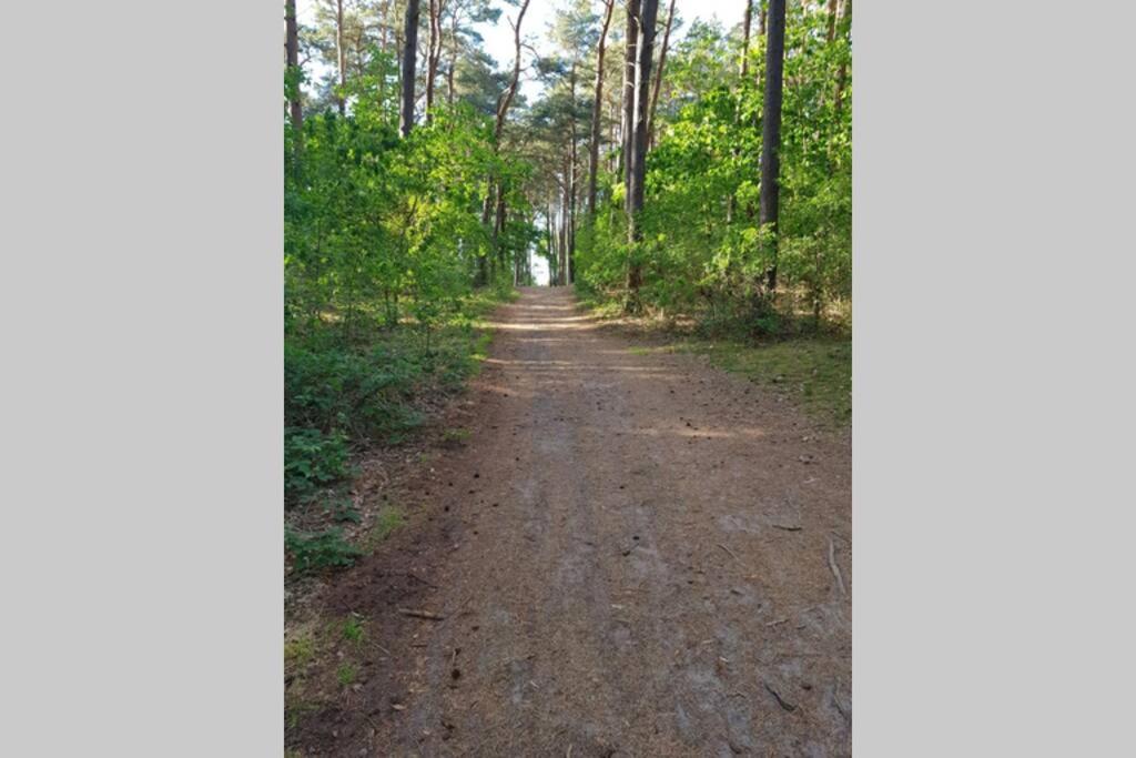 Traumhaftes Ferienhaus LENA direkt an der Ostsee photo 3