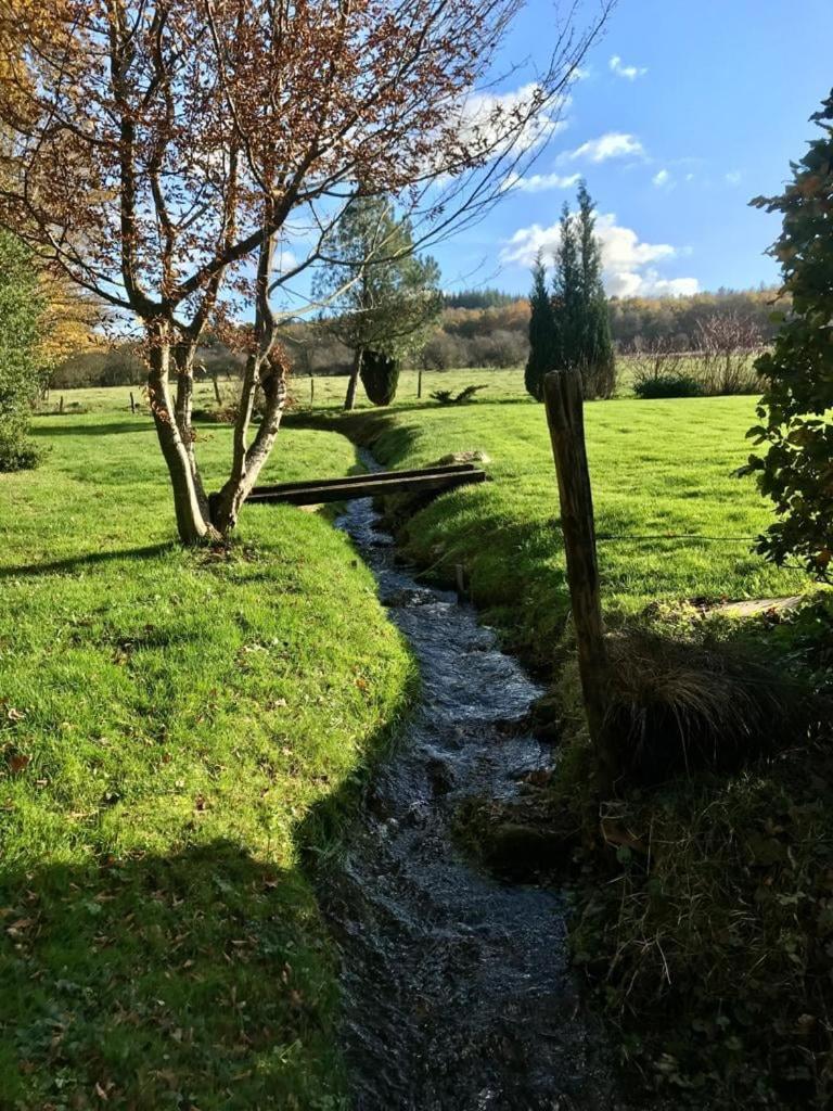 Lovely Meadow House in the land of Croix Scaille photo 2