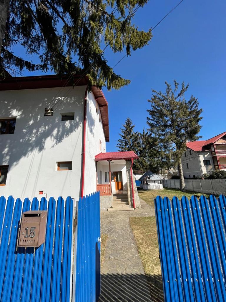 Vila Ileana photo 2
