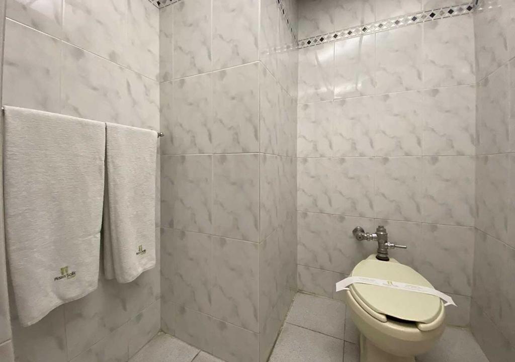 Двухместный (Стандартный двухместный номер с 1 кроватью), Hotel Plaza Solis