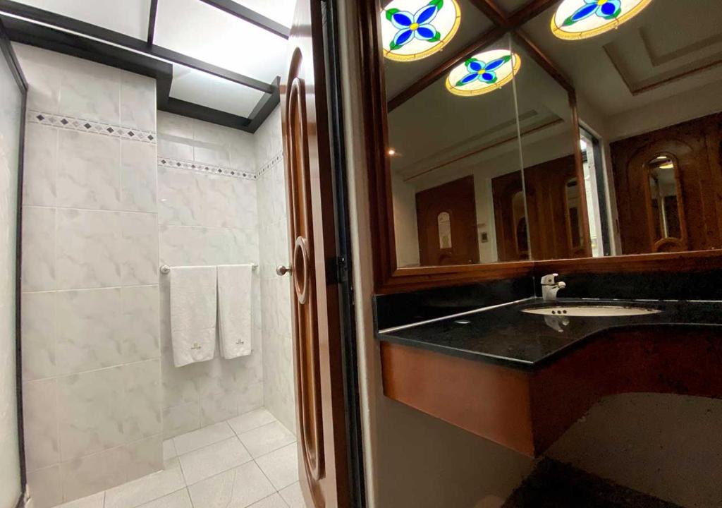 Двухместный (Стандартный двухместный номер с 1 кроватью), Hotel Plaza Solis