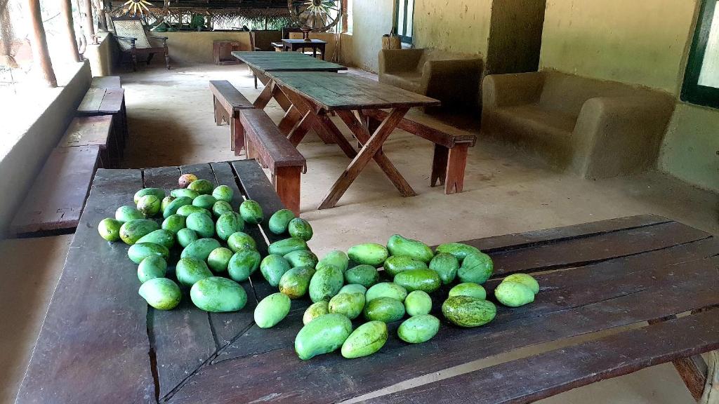 Kamatha Eco Lodge photo 4