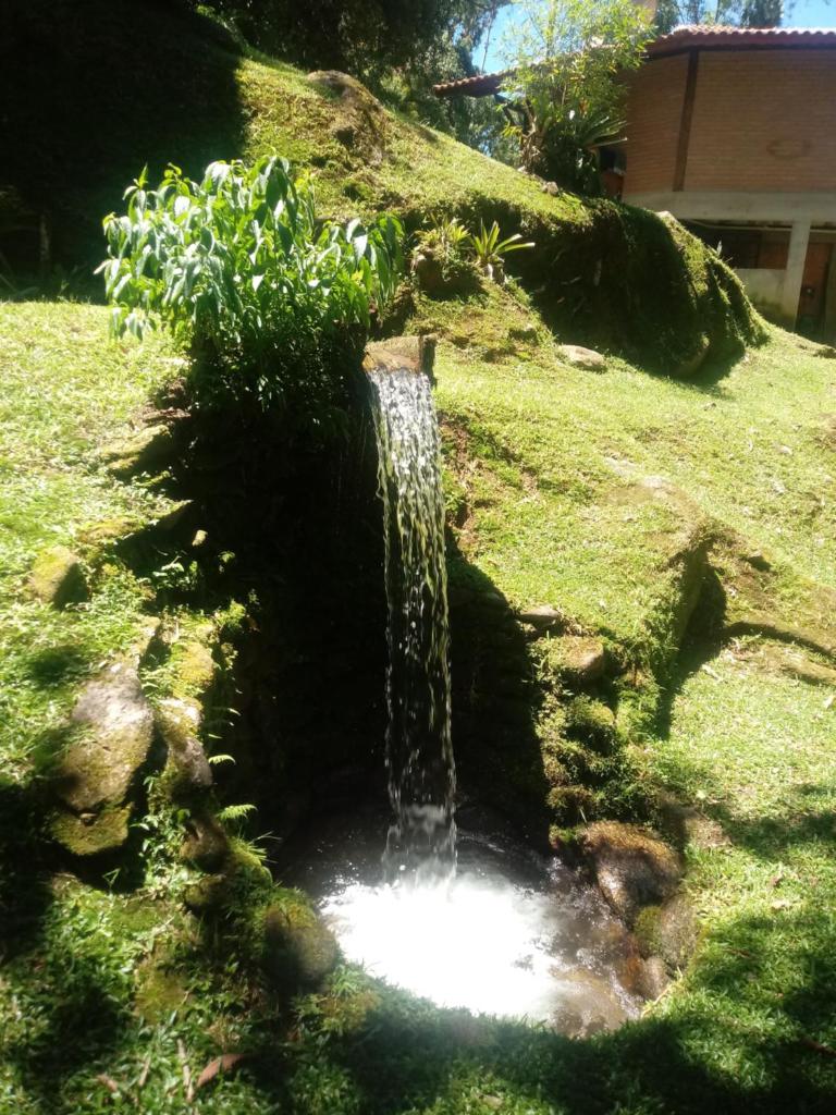 Chalé Truta da Floresta photo 3