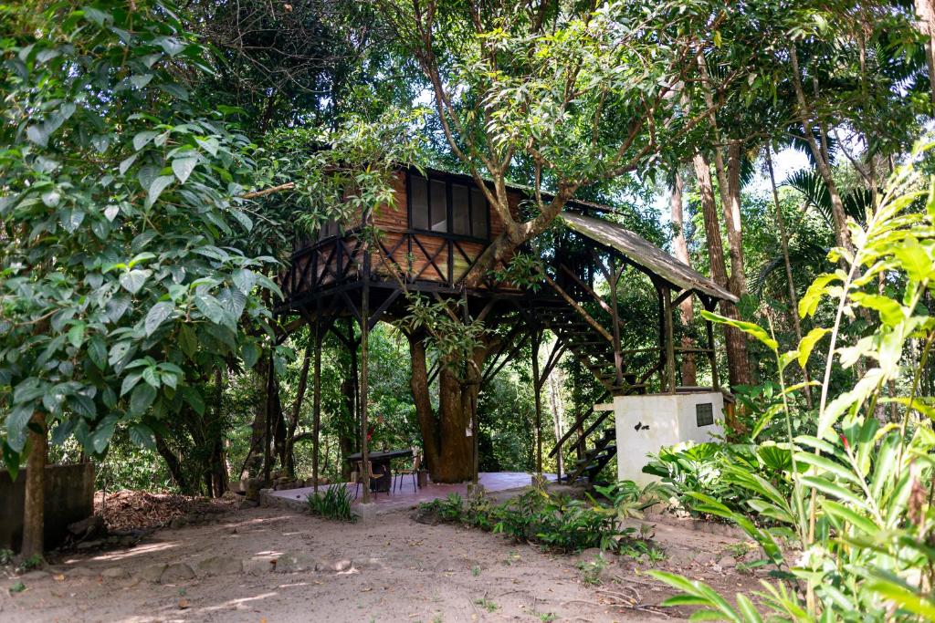 Reserva Biologica Caoba photo 1