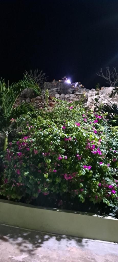 Eve's Rockaway Villa photo 1