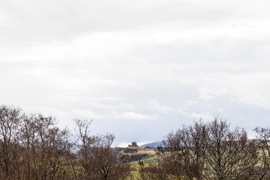 The Milking Sheds, Dufftown photo 4