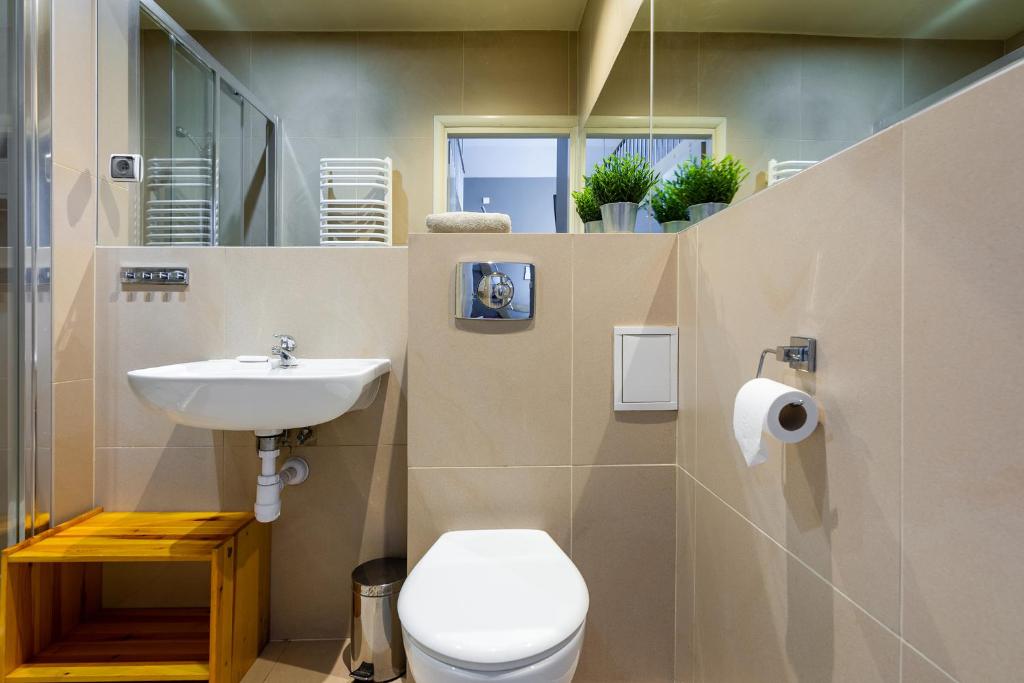 Апартаменты (Апартаменты с мини-кухней и мезонином), Apartamenty Brzozowa - Centrum