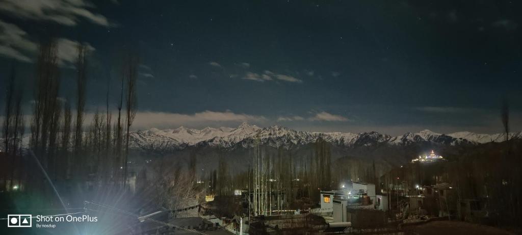 Двухместный (Двухместный номер с 1 кроватью и видом на горы), Ladakh Country Inn