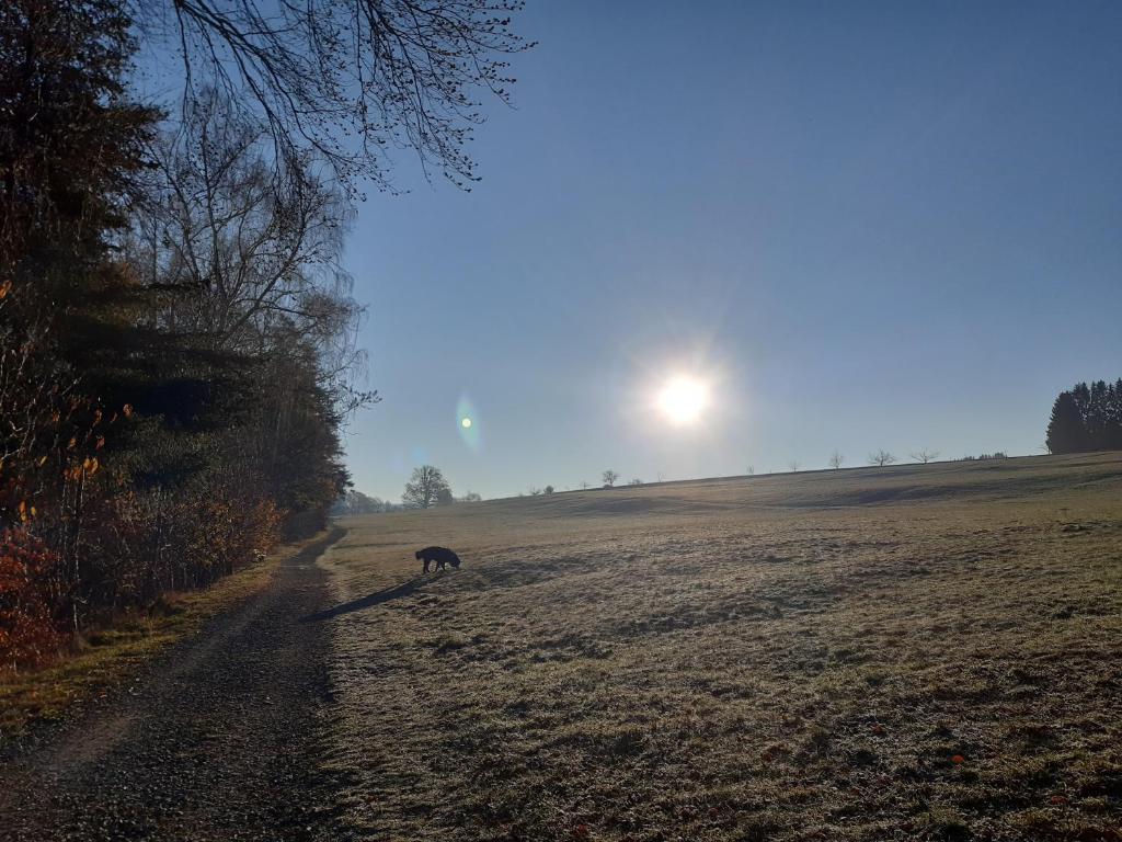 Albblick photo 4