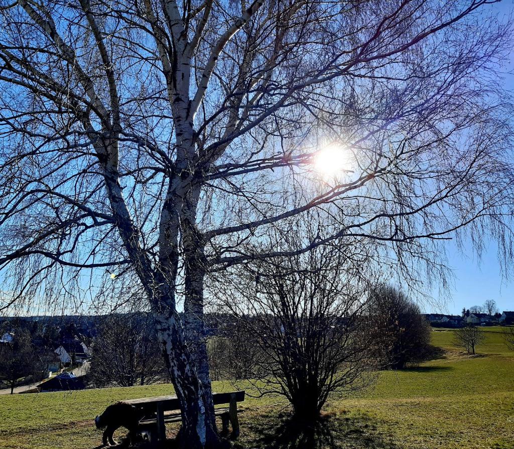 Albblick photo 3
