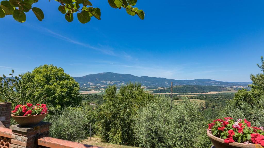 Poggio Medei 10, Emma Villas photo 3