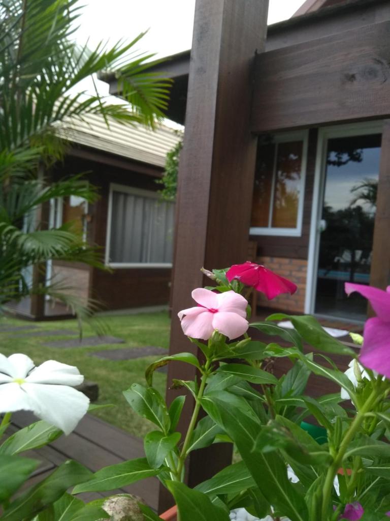 Villa Suhr Cabanas photo 2