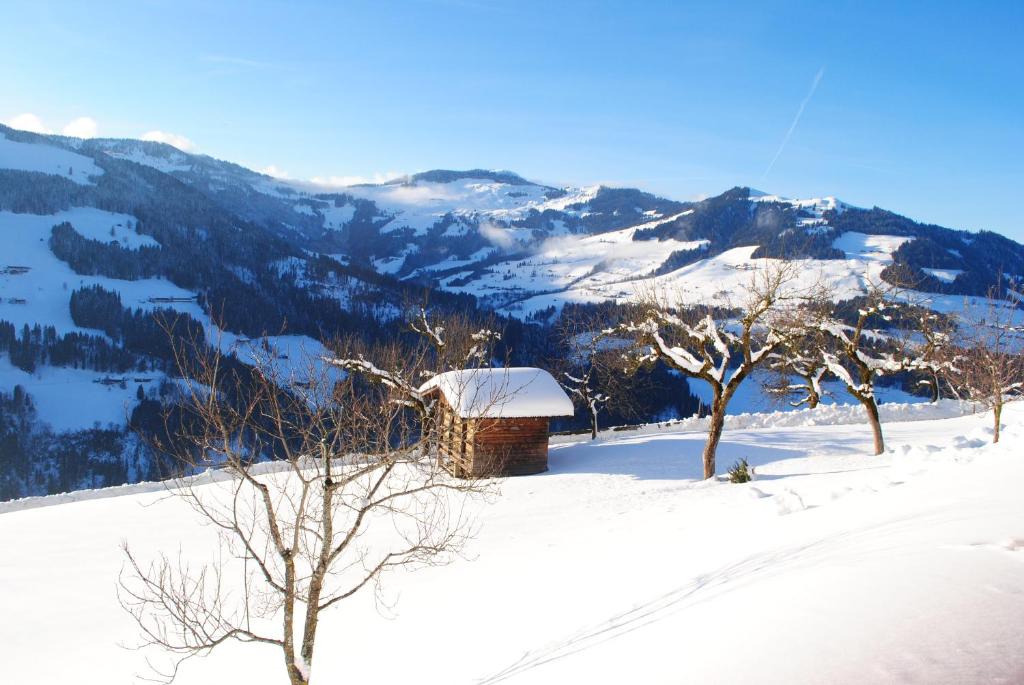 Siedlerhof photo 2