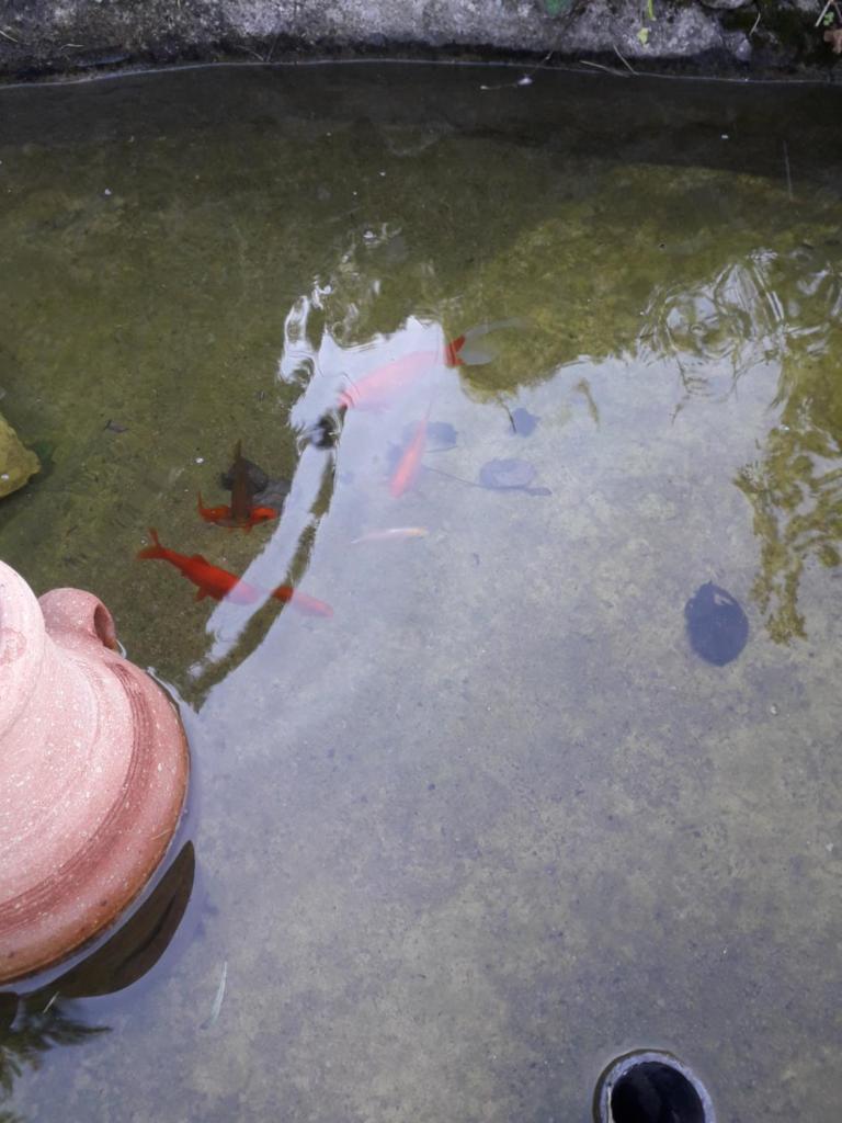 Chalet de charme tout confort - Thumbnail image