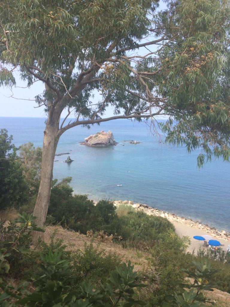 Andromeda Beach house photo 1