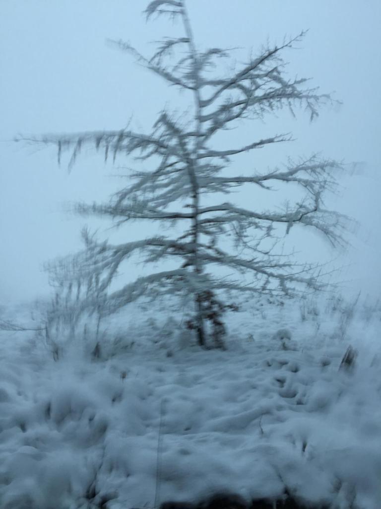 Au Coeur La Roche photo 3