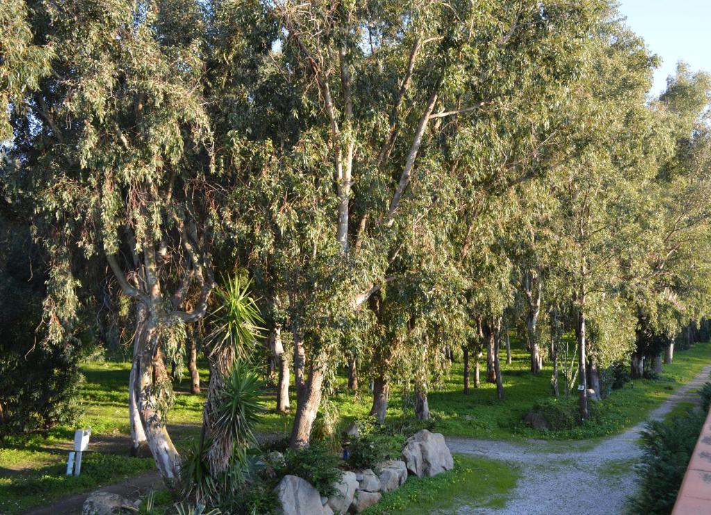 Batuca Village & Camping photo 2