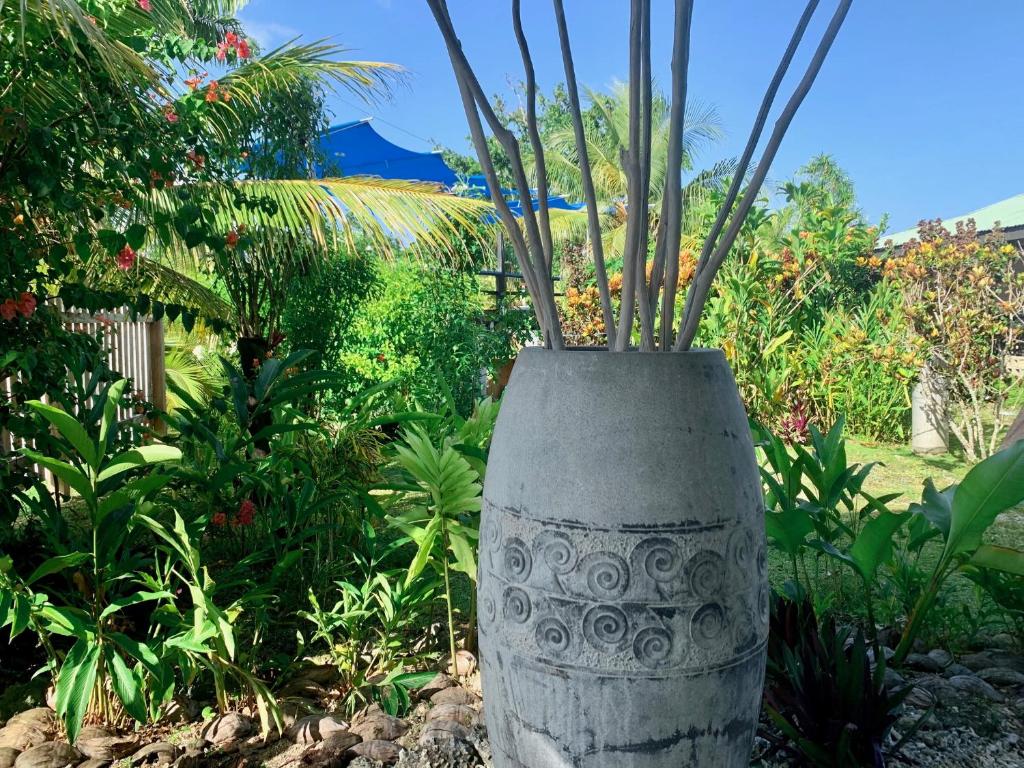 Turtle Bay Lodge photo 3