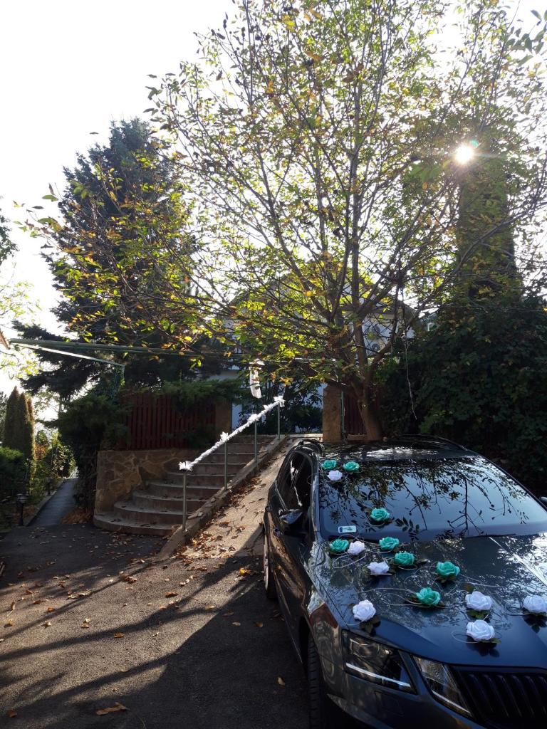 Attila's Guest House photo 4