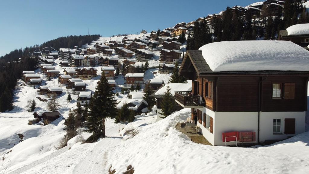 Chalet Foresta photo 1