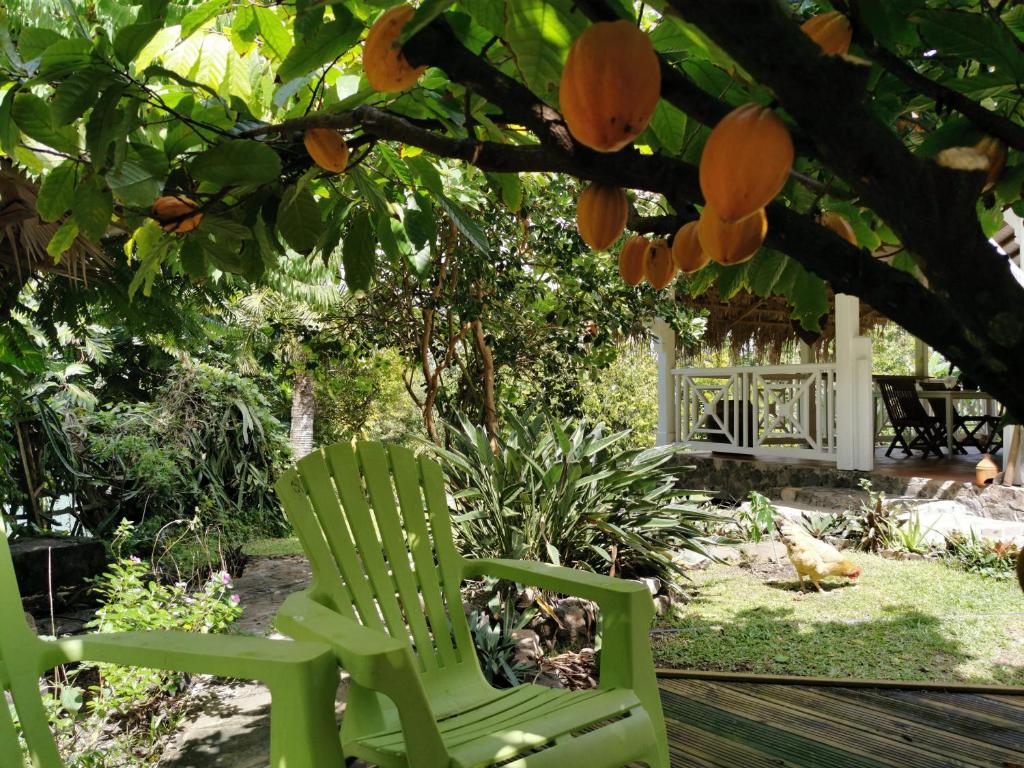 Villa CACAO photo 1