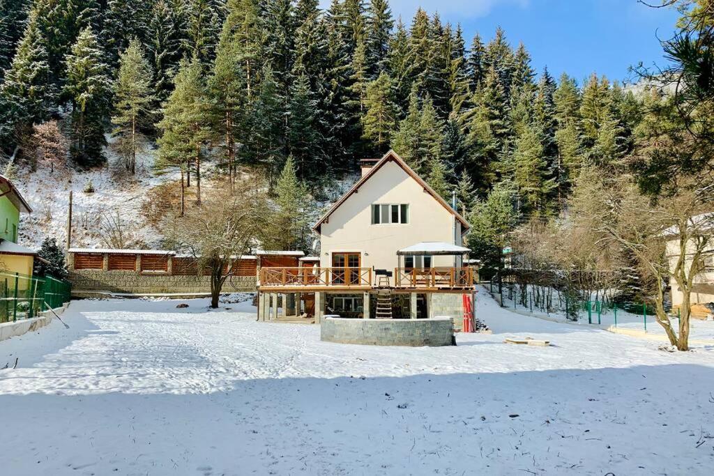 Villa Aquila photo 1